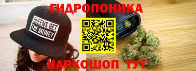 шишки Новокубанск