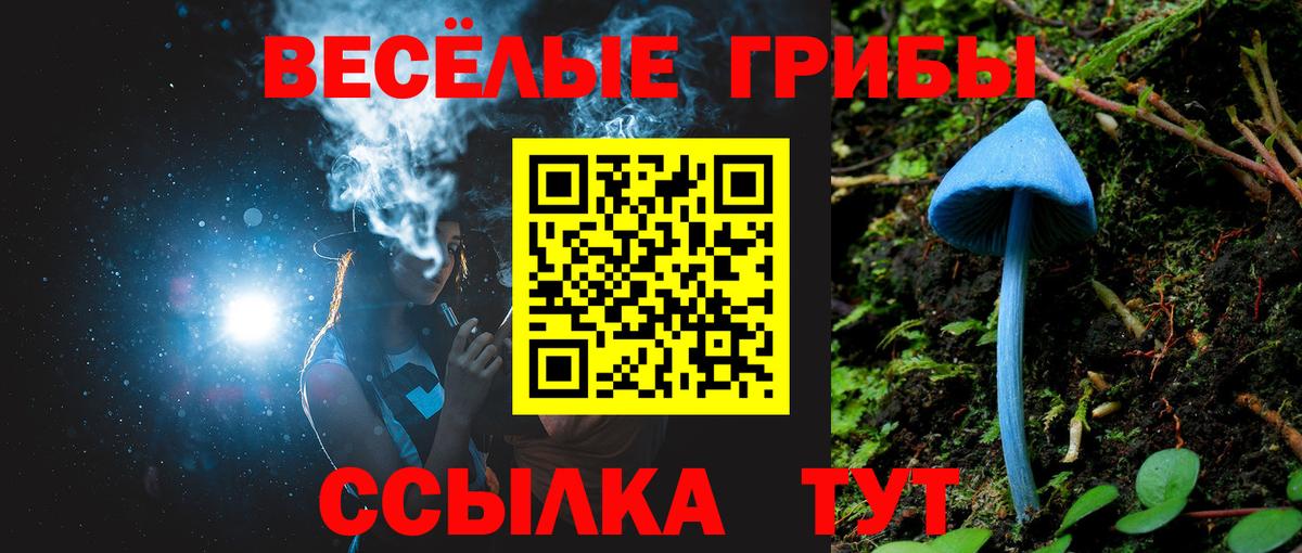 Галлюциногенные грибы GOLDEN TEACHER Саратов